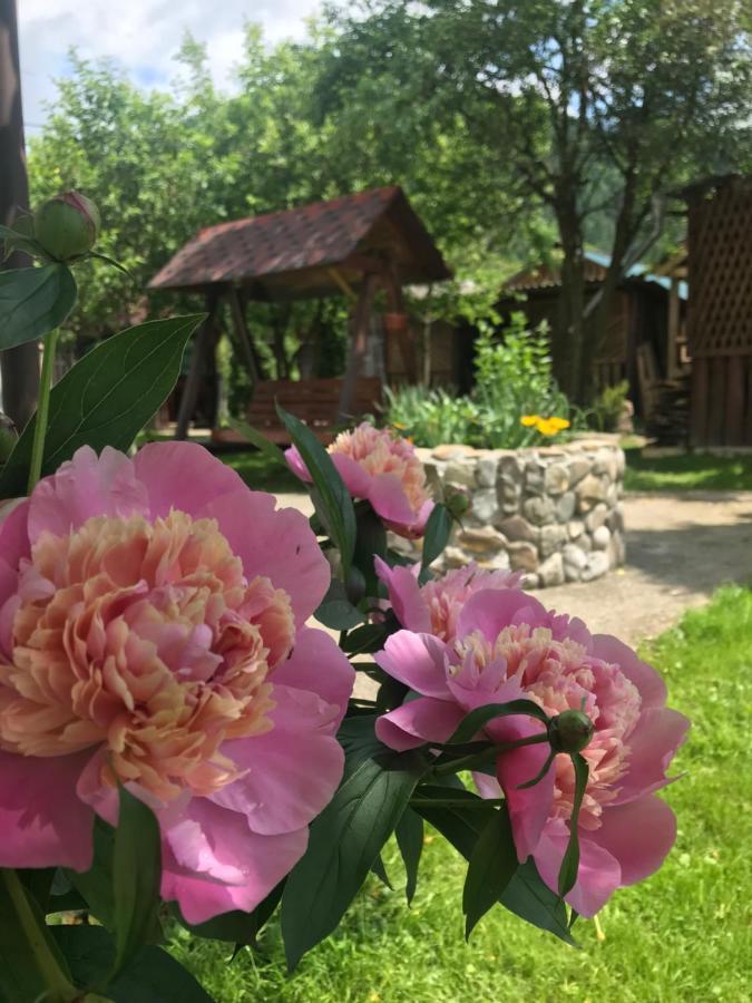 Садиба Диво Квітка Tatariv Exteriör bild